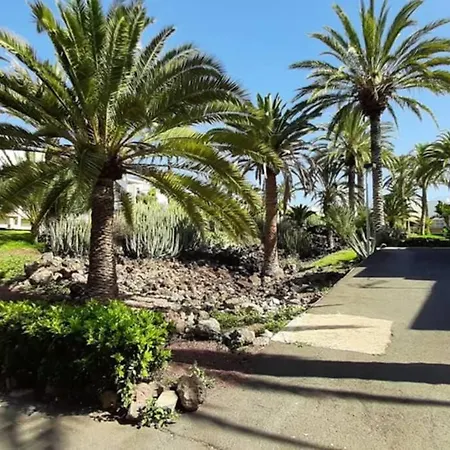 Super Cozy Holiday At South Tenerife